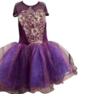 Curtain Call Purple Tutu Dance Costume Gold Embroidered Mesh C440L AXL